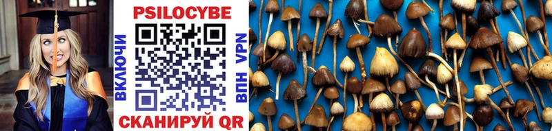 наркотики  гидра маркетплейс  Псилоцибиновые грибы Cubensis  Арсеньев 